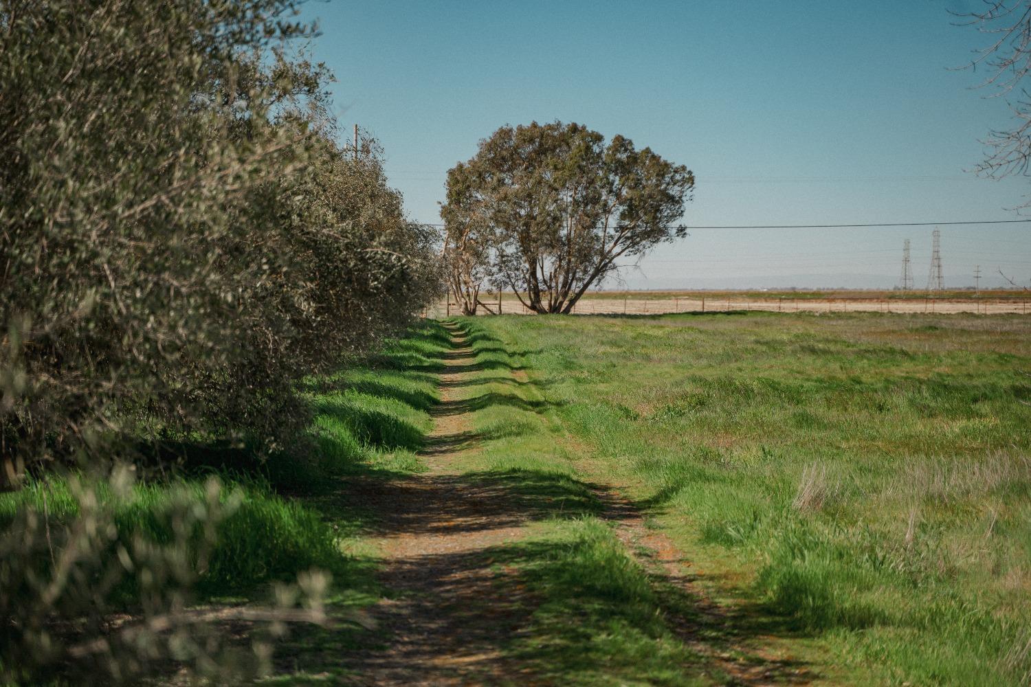 Pleasant Grove Road, Elverta, California image 1