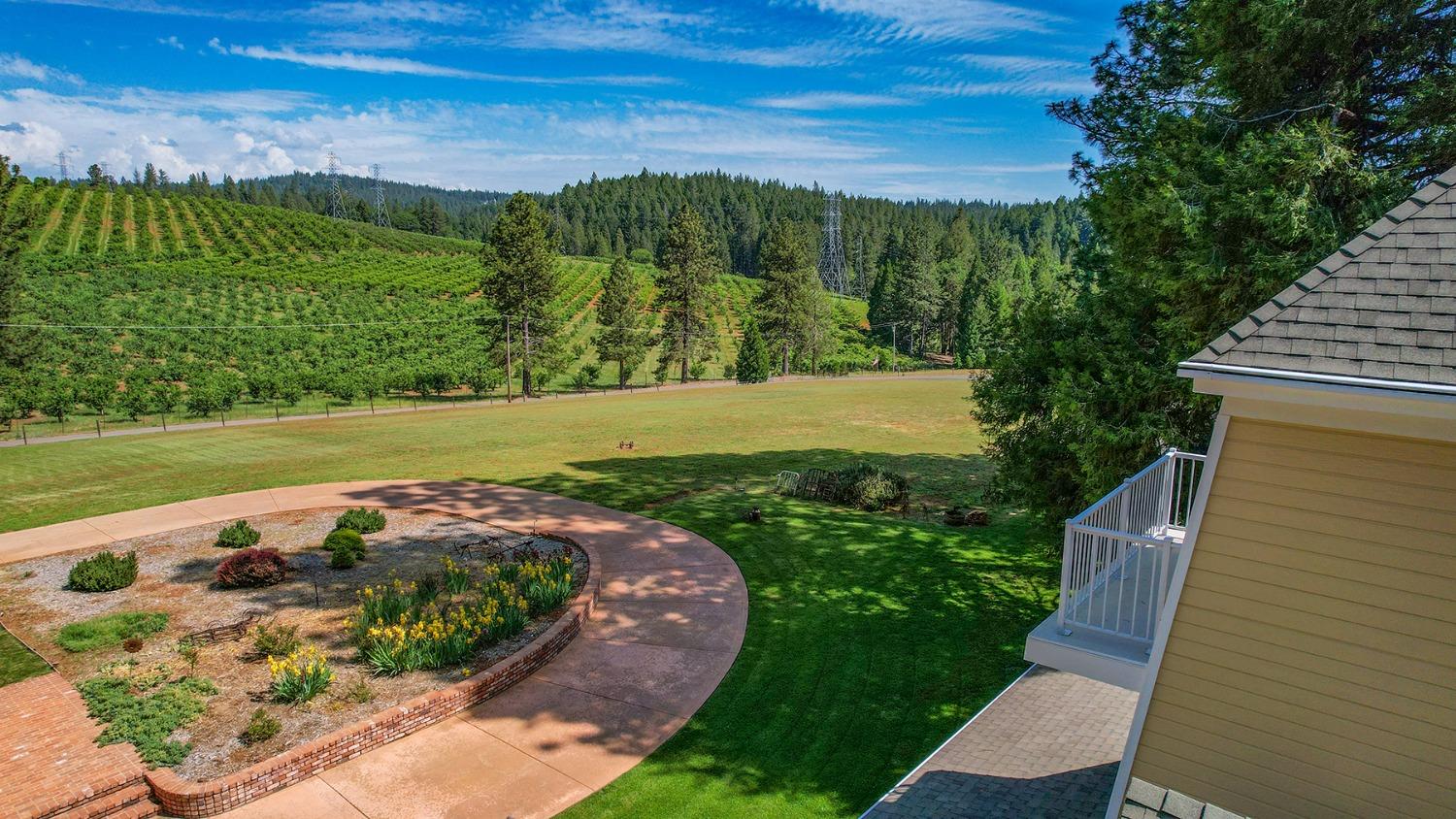 Sky Ranch Lane, Camino, California image 3
