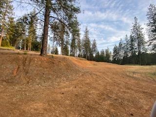 Weaver Hill Lane, Applegate, California image 6