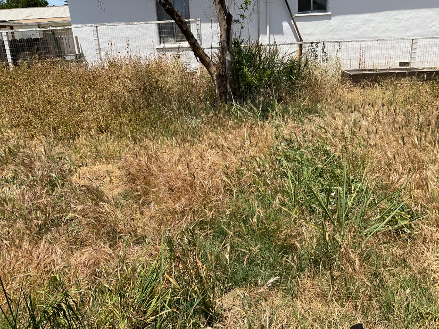 Detail Gallery Image 78 of 96 For 473 East Ave, Gustine,  CA 95322 - 2 Beds | 1 Baths