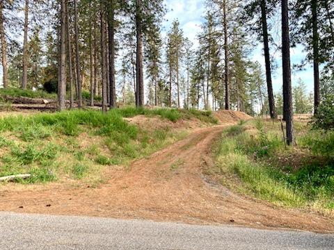 Weaver Hill Lane, Applegate, California image 1