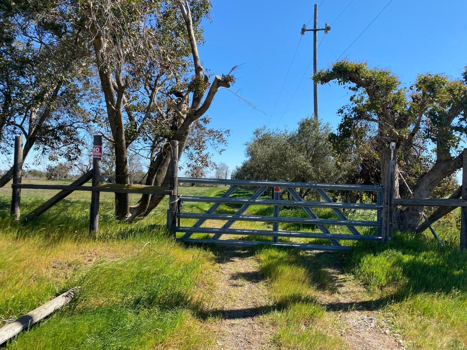 Pleasant Grove Road, Elverta, California image 10