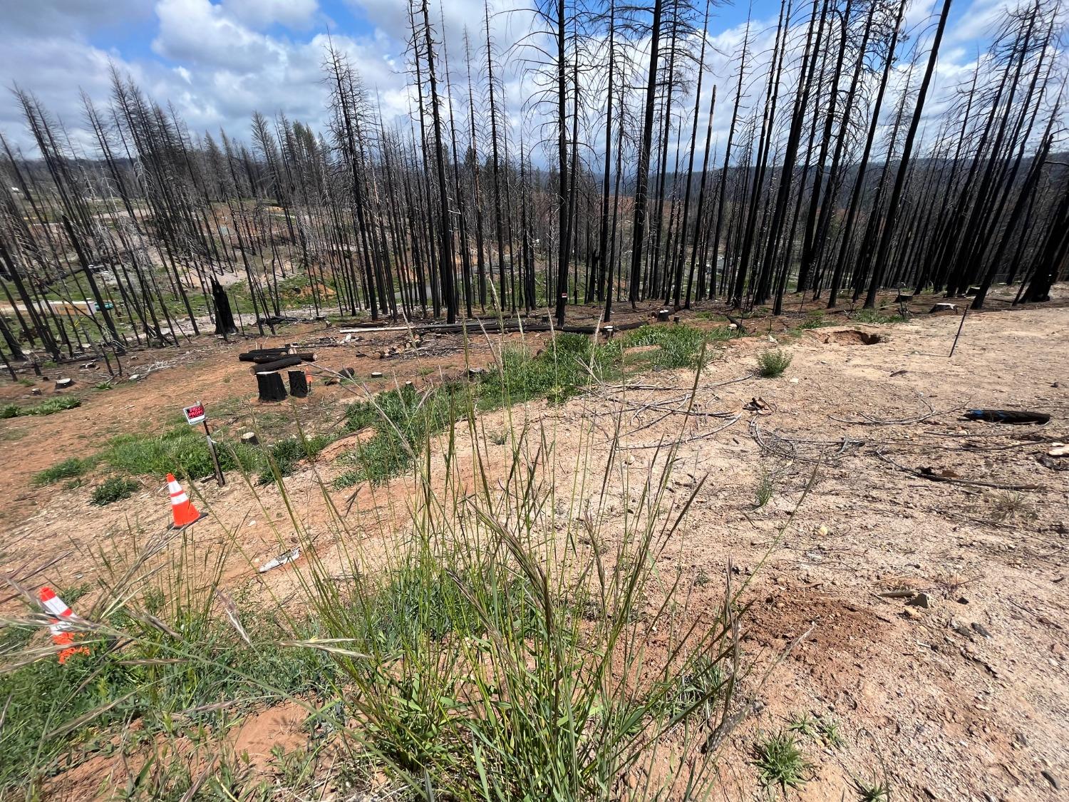 Photo of 6740 Tyler Dr in Grizzly Flats, CA
