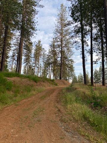 Weaver Hill Lane, Applegate, California image 2