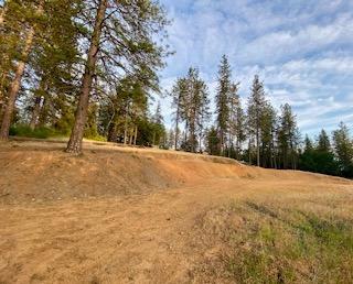 Weaver Hill Lane, Applegate, California image 10