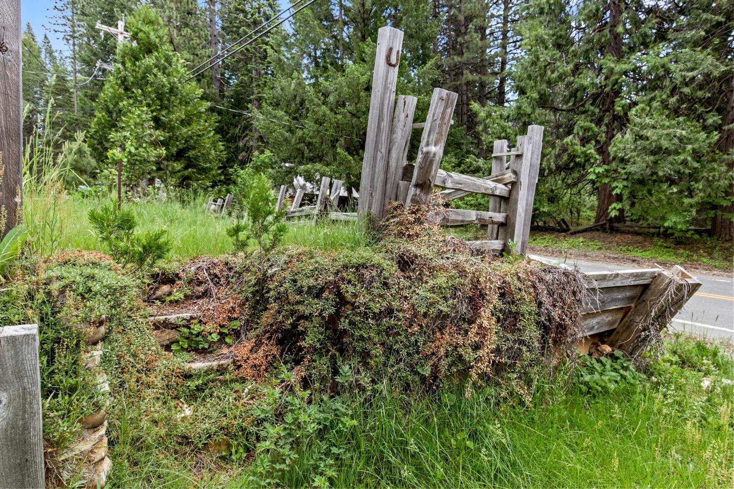 Quincy La Porte Road, Strawberry Valley, California image 27