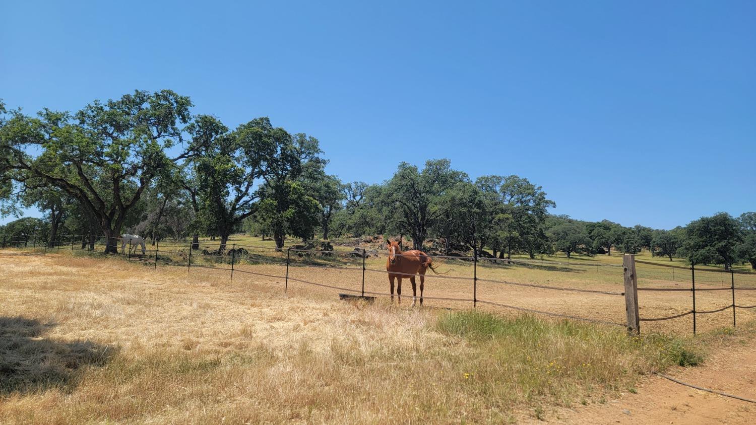 Reedy Drive, Browns Valley, California image 47