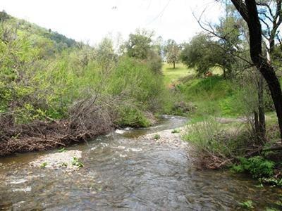 Cosumnes Drive, Plymouth, California image 10