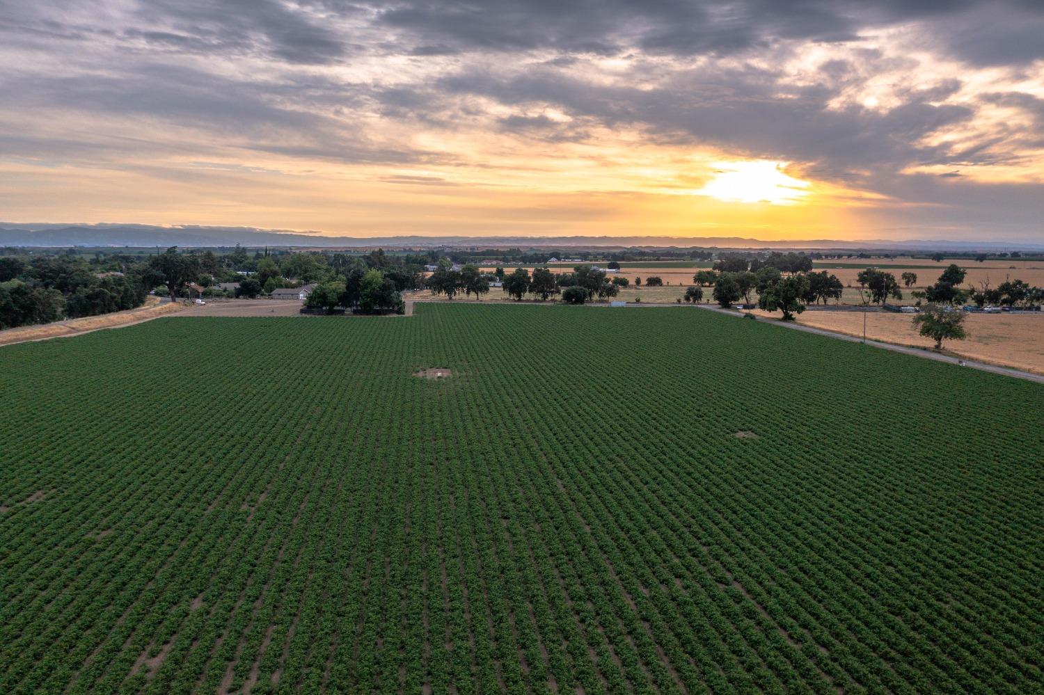 Photo of 37795 County Rd 17 in Woodland, CA