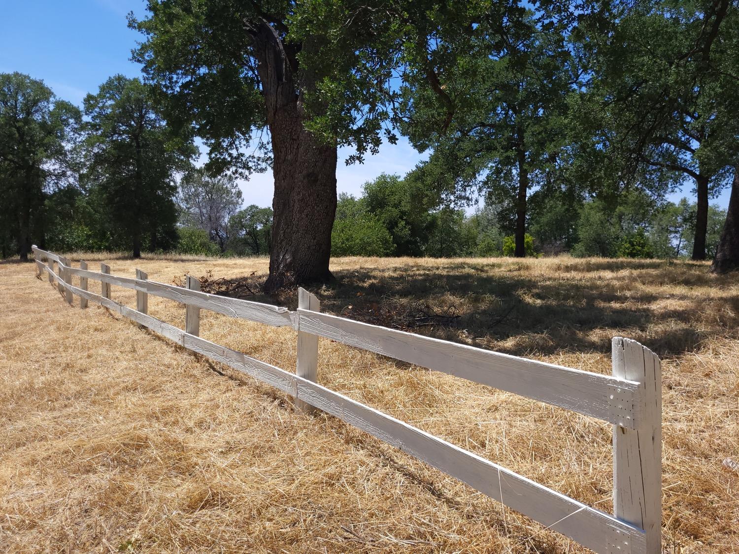 Tyler Road, Fiddletown, California image 2