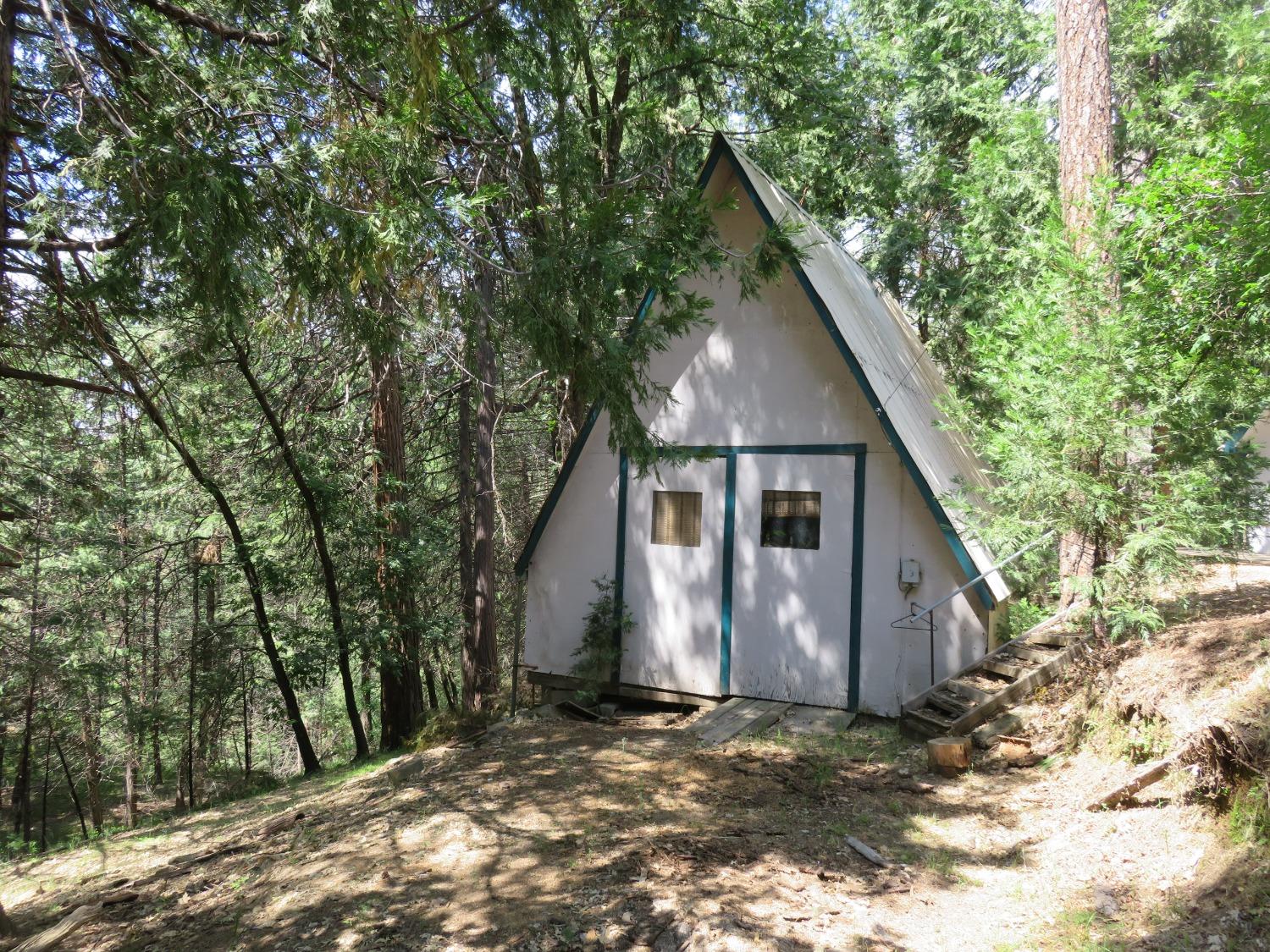 Tree Lane, Wilseyville, California image 3