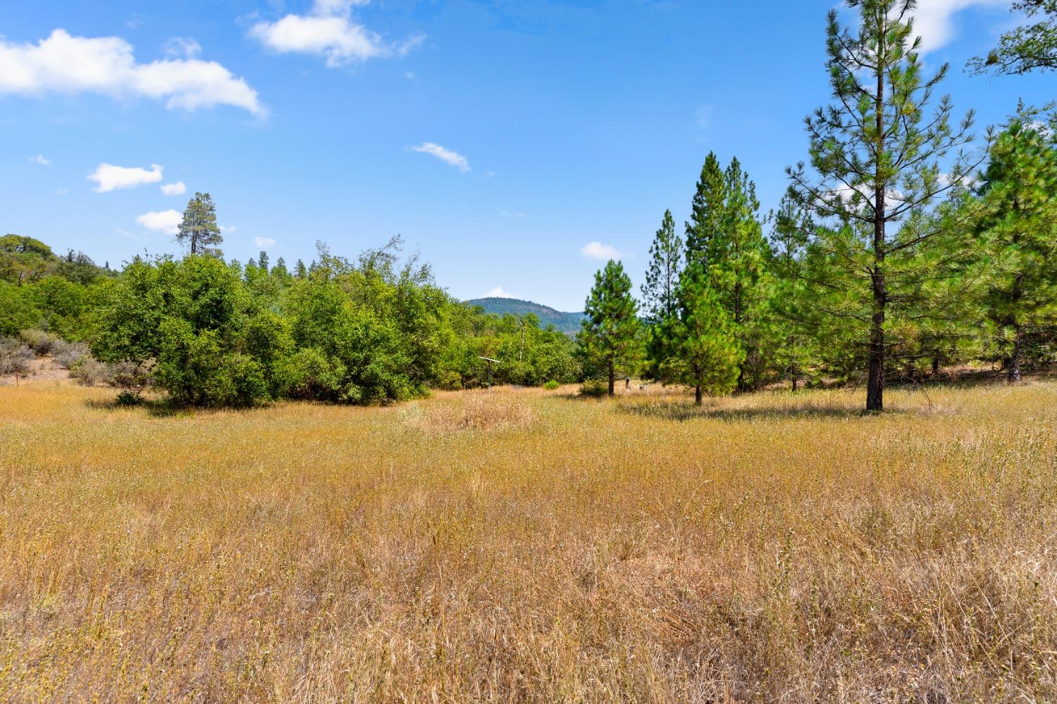 Forsythe Road, Dobbins, California image 5