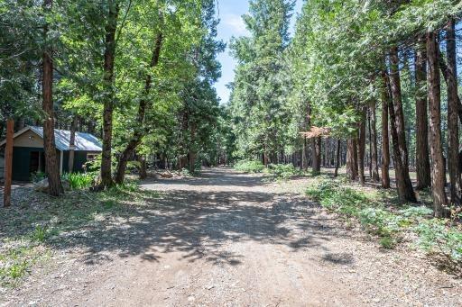 Hide Away Loop, Alta, California image 4