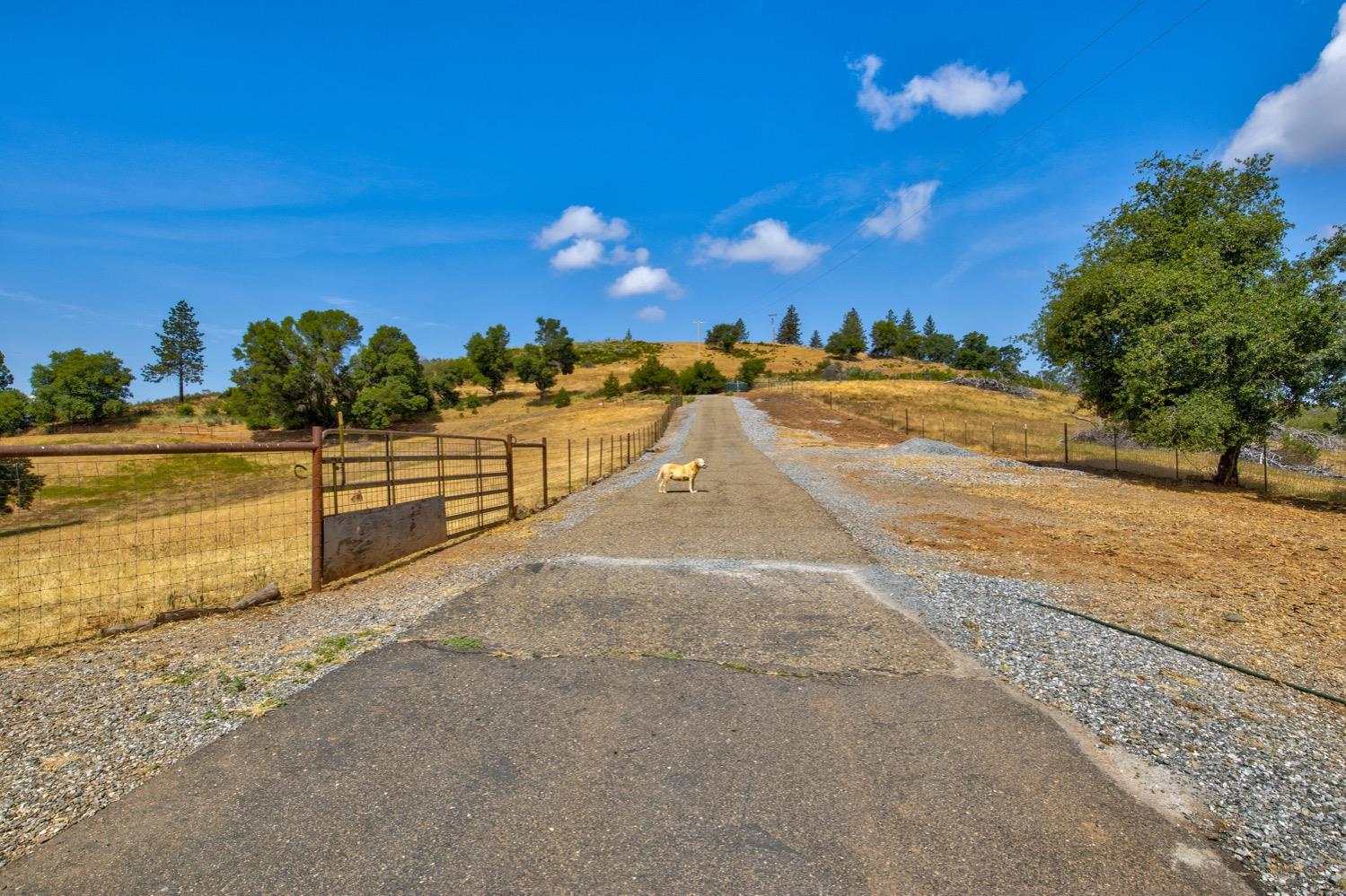 Mountain Ranch, Mountain Ranch, California image 3