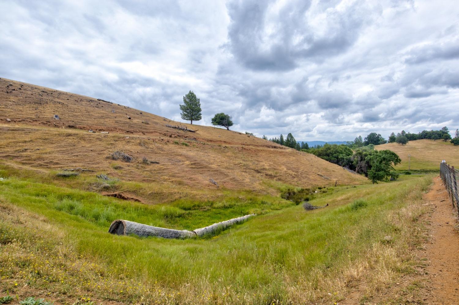 Mountain Ranch, Mountain Ranch, California image 8