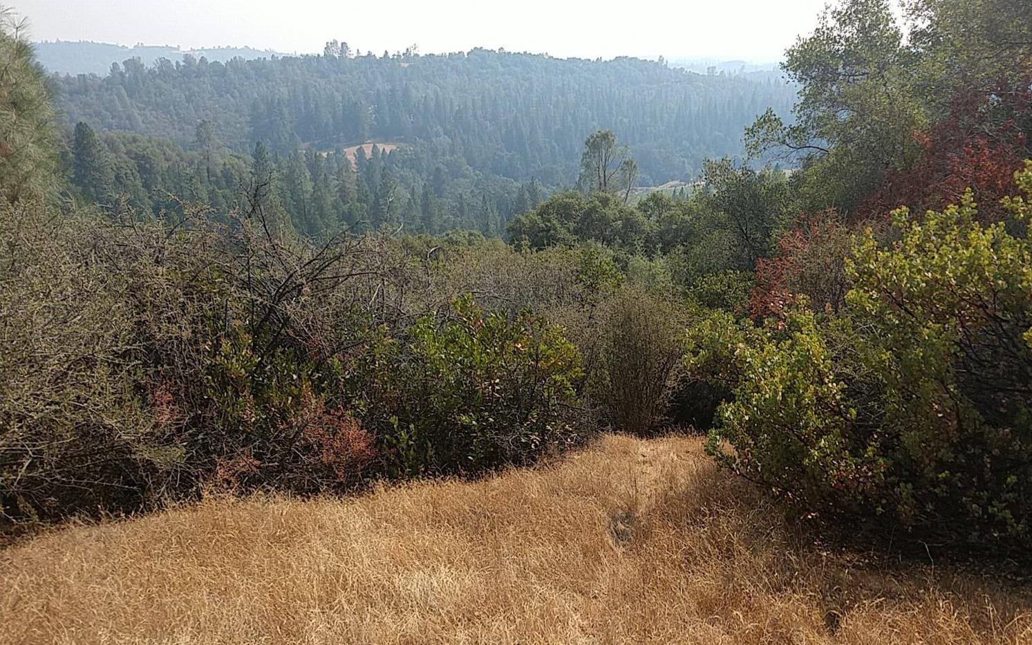 Red Mule Road, Fiddletown, California image 1