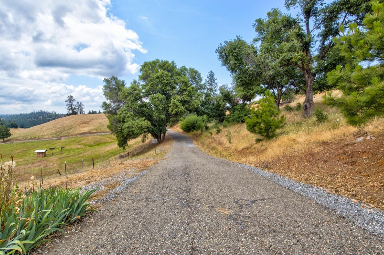 Mountain Ranch, Mountain Ranch, California image 10