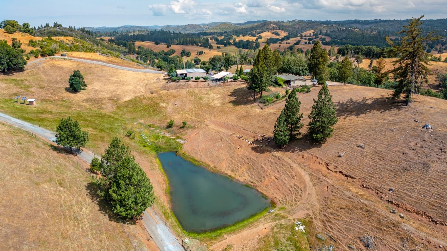 Mountain Ranch, Mountain Ranch, California image 1