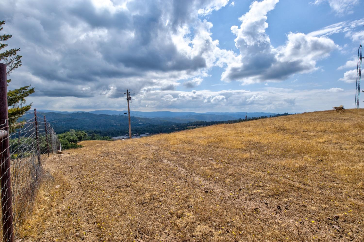 Mountain Ranch, Mountain Ranch, California image 44