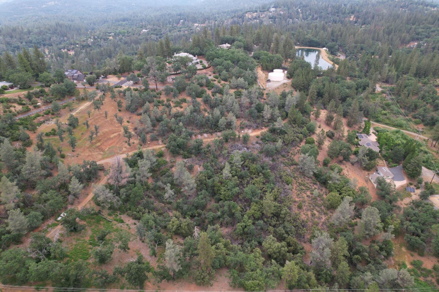 Coyote Hill, Colfax, California image 4