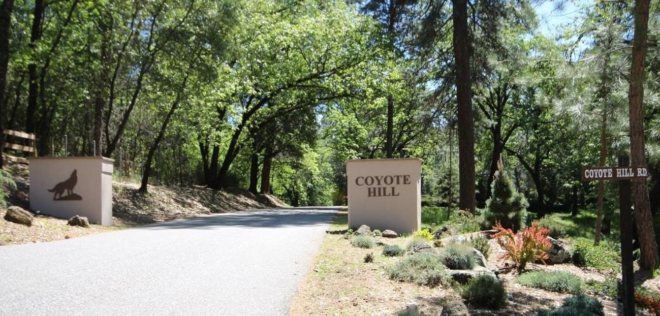 Coyote Hill, Colfax, California image 5