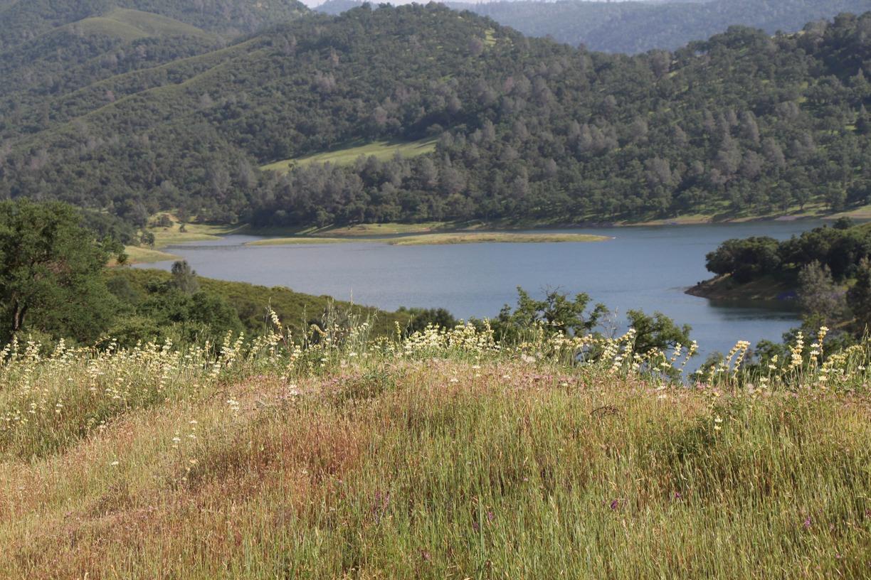 Photo of State Hwy 12 in Valley Springs, CA