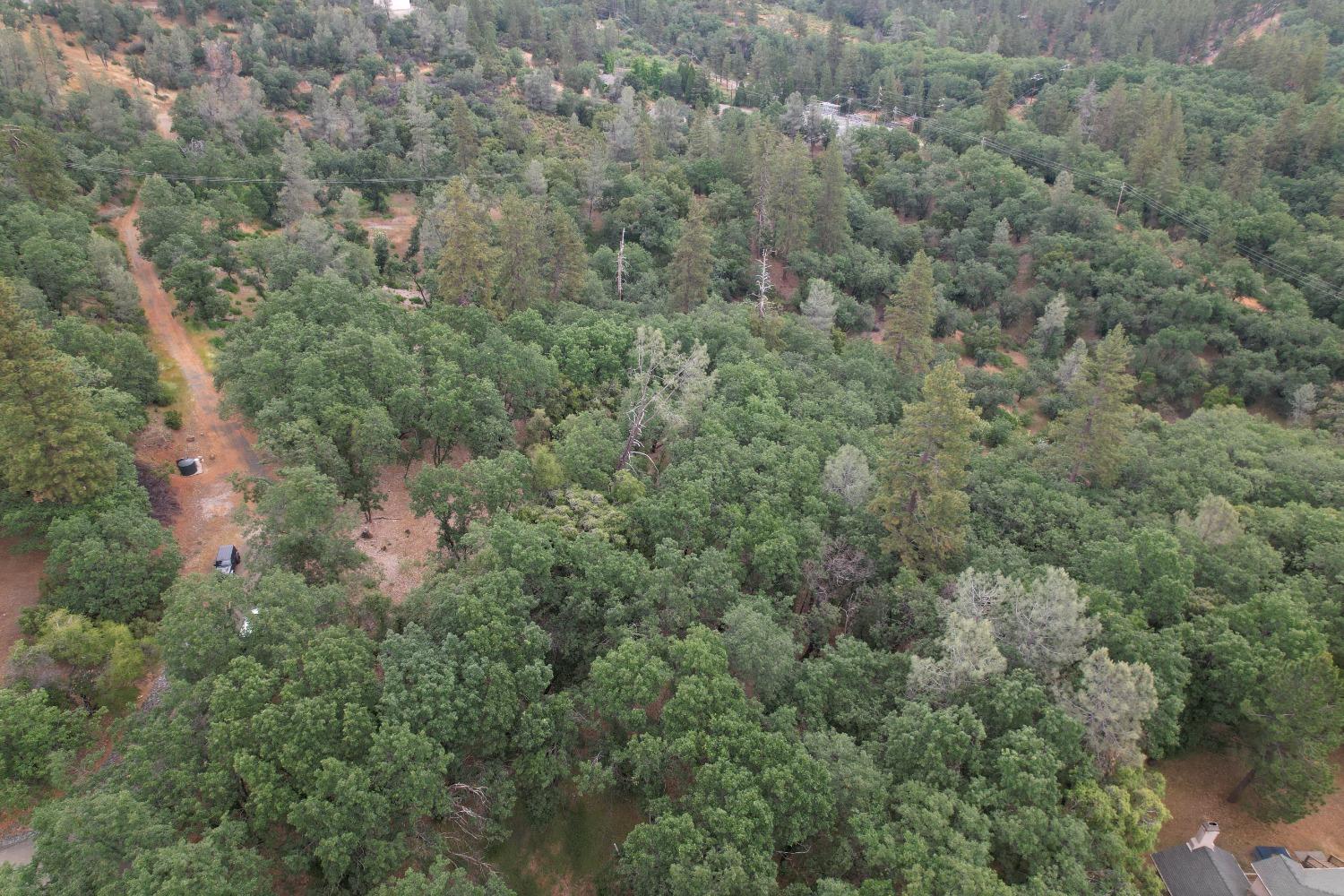 Coyote Hill, Colfax, California image 3