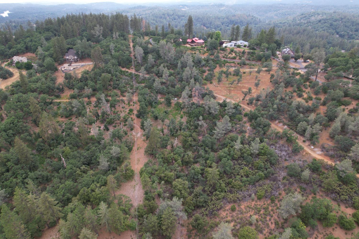 Coyote Hill, Colfax, California image 4