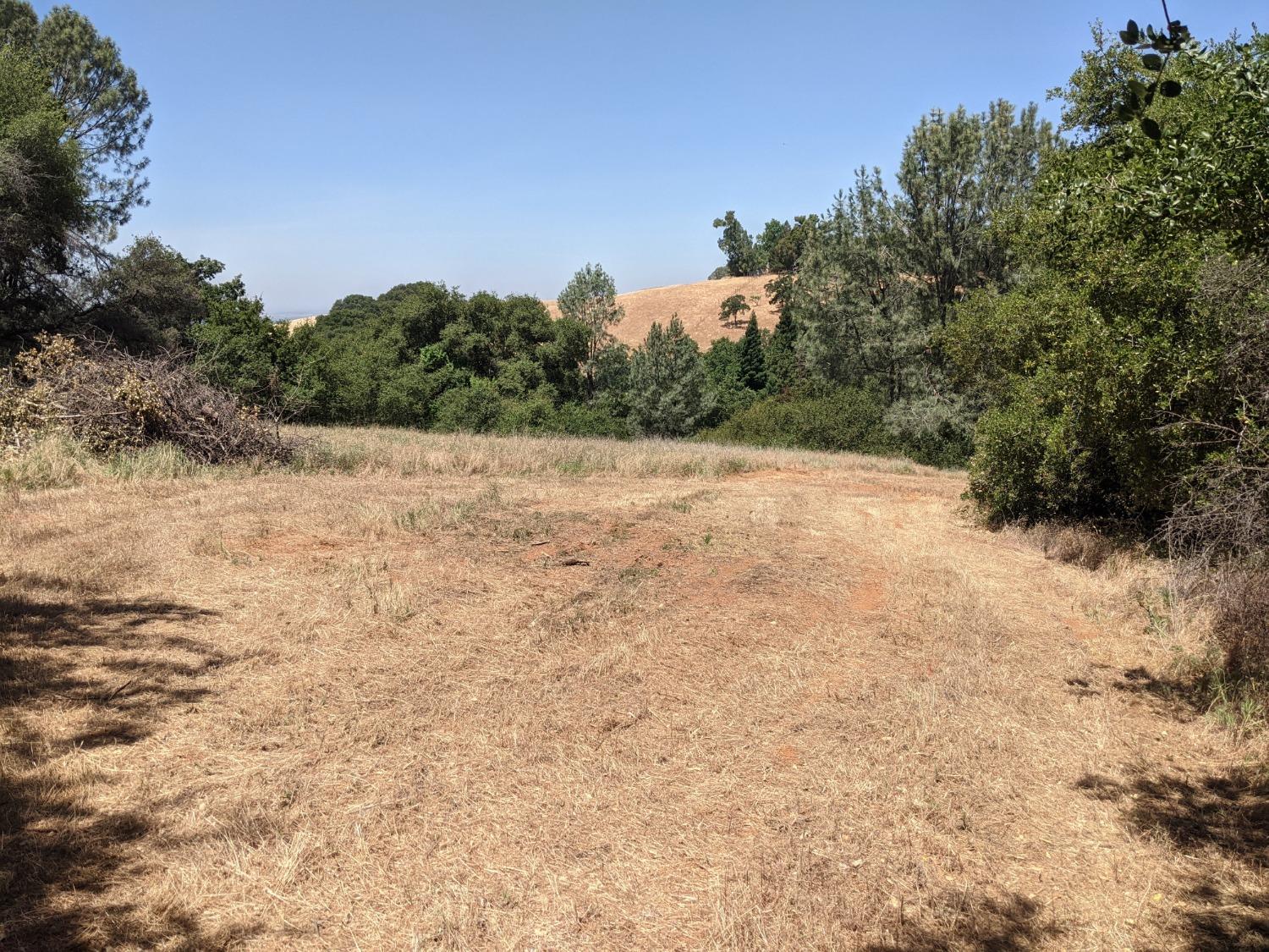 Moran Court, Auburn, California image 7