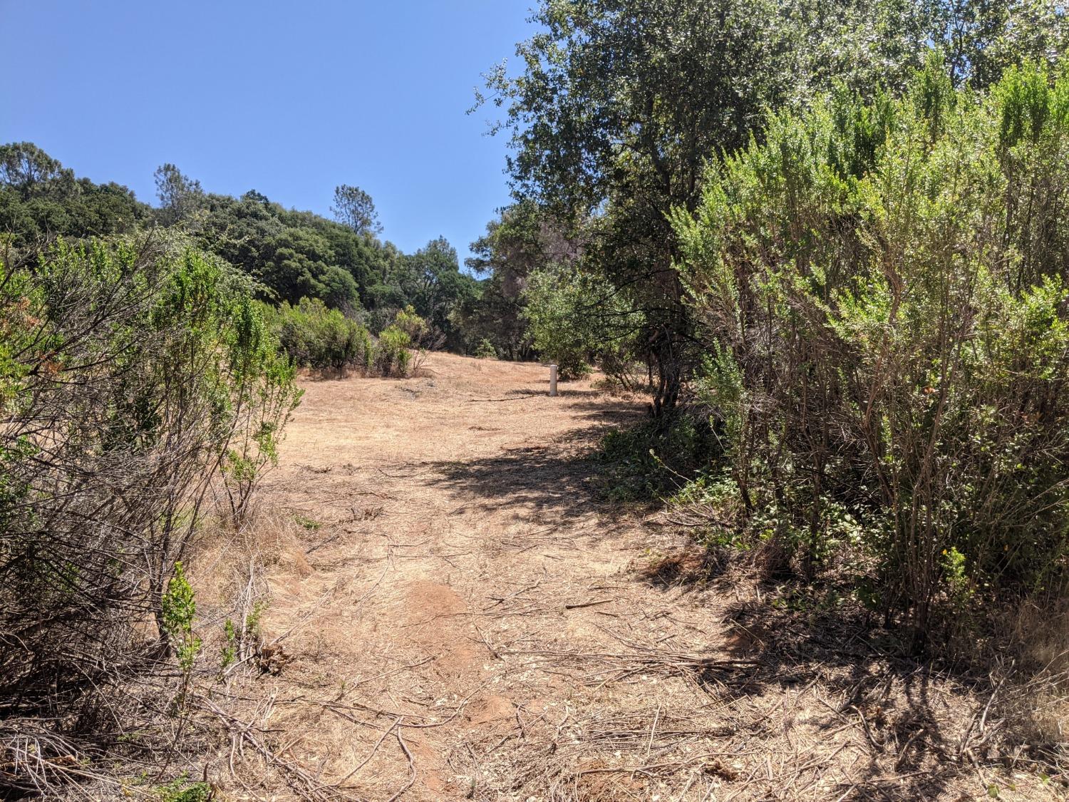 Moran Court, Auburn, California image 10