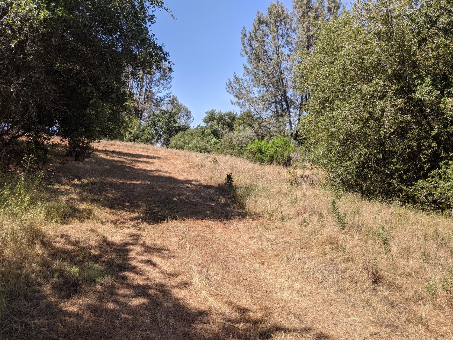 Moran Court, Auburn, California image 6