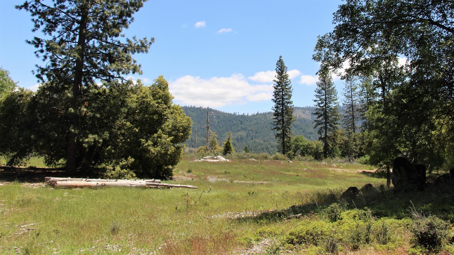 TBD Forest Road Fr2n07, Long Barn, California image 44