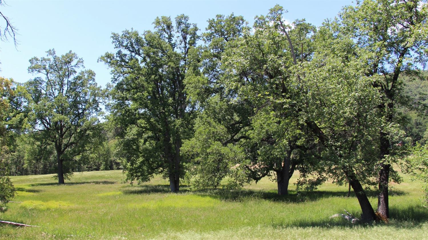 TBD Forest Road Fr2n07, Long Barn, California image 45