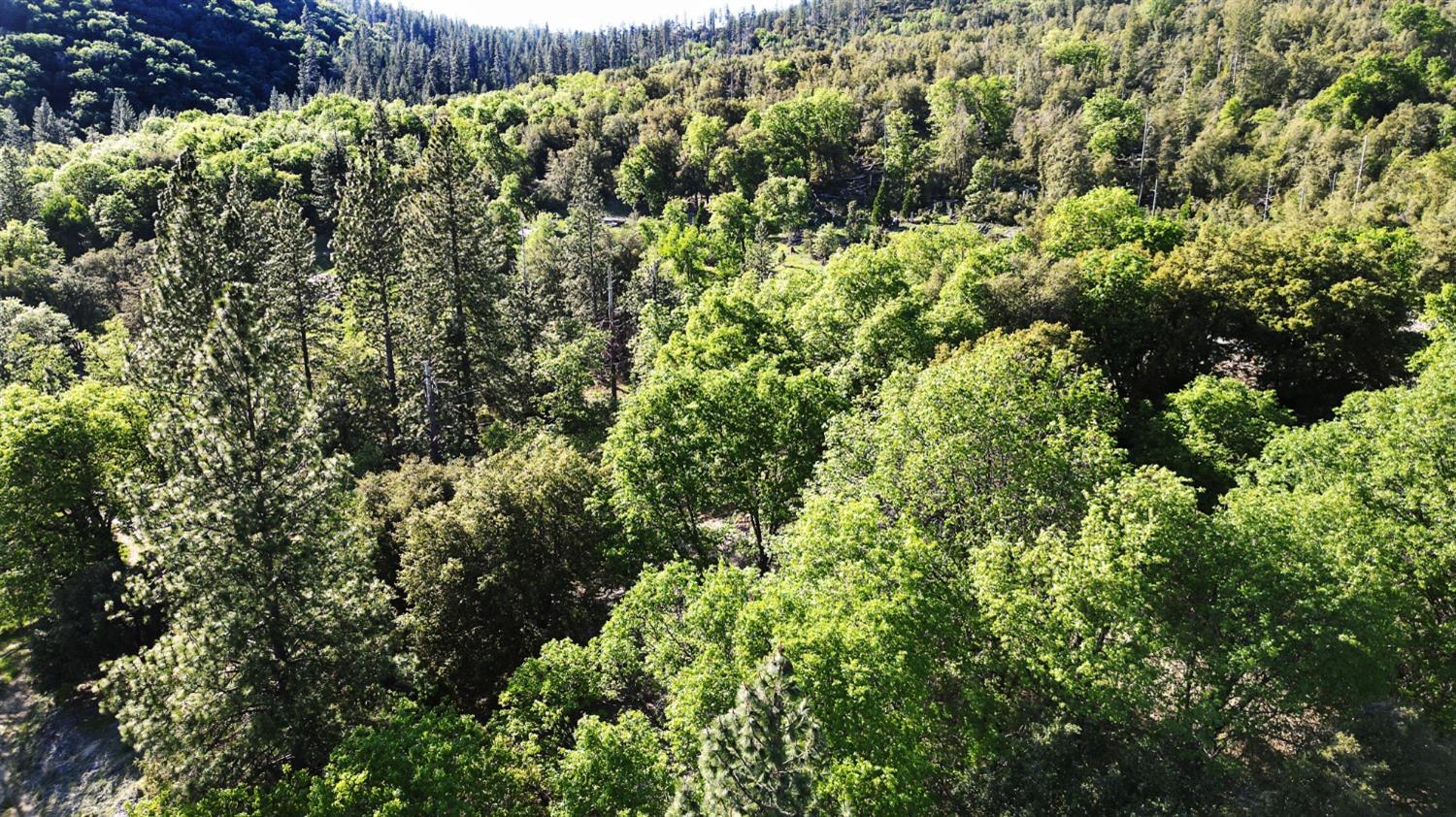 TBD Forest Road Fr2n07, Long Barn, California image 38