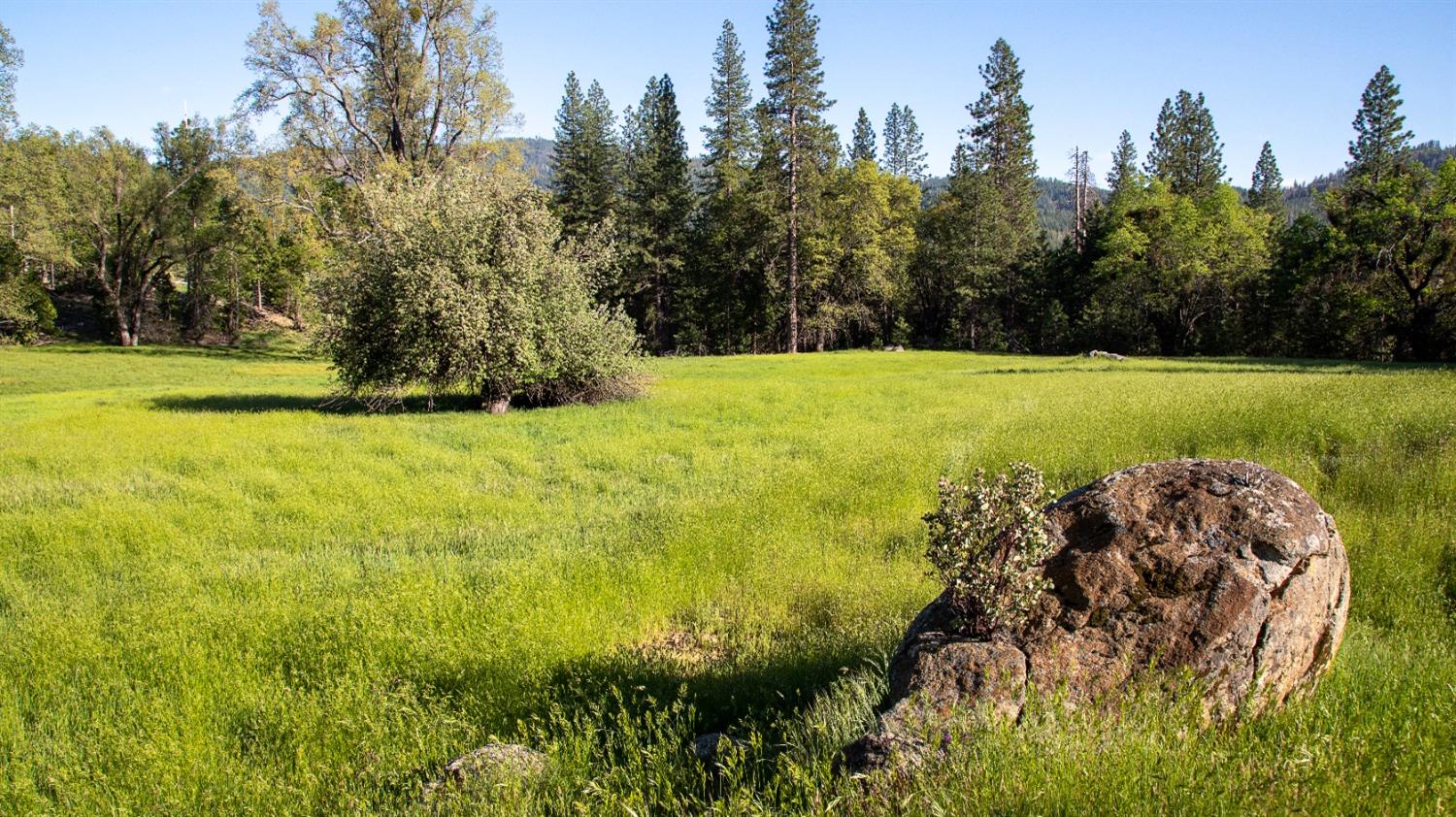 TBD Forest Road Fr2n07, Long Barn, California image 9