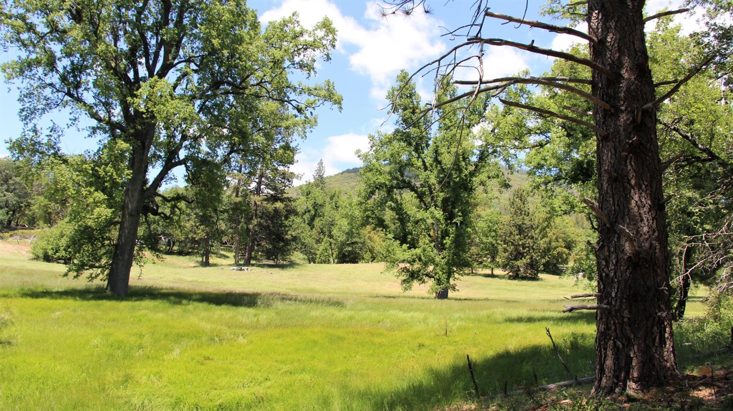 TBD Forest Road Fr2n07, Long Barn, California image 43