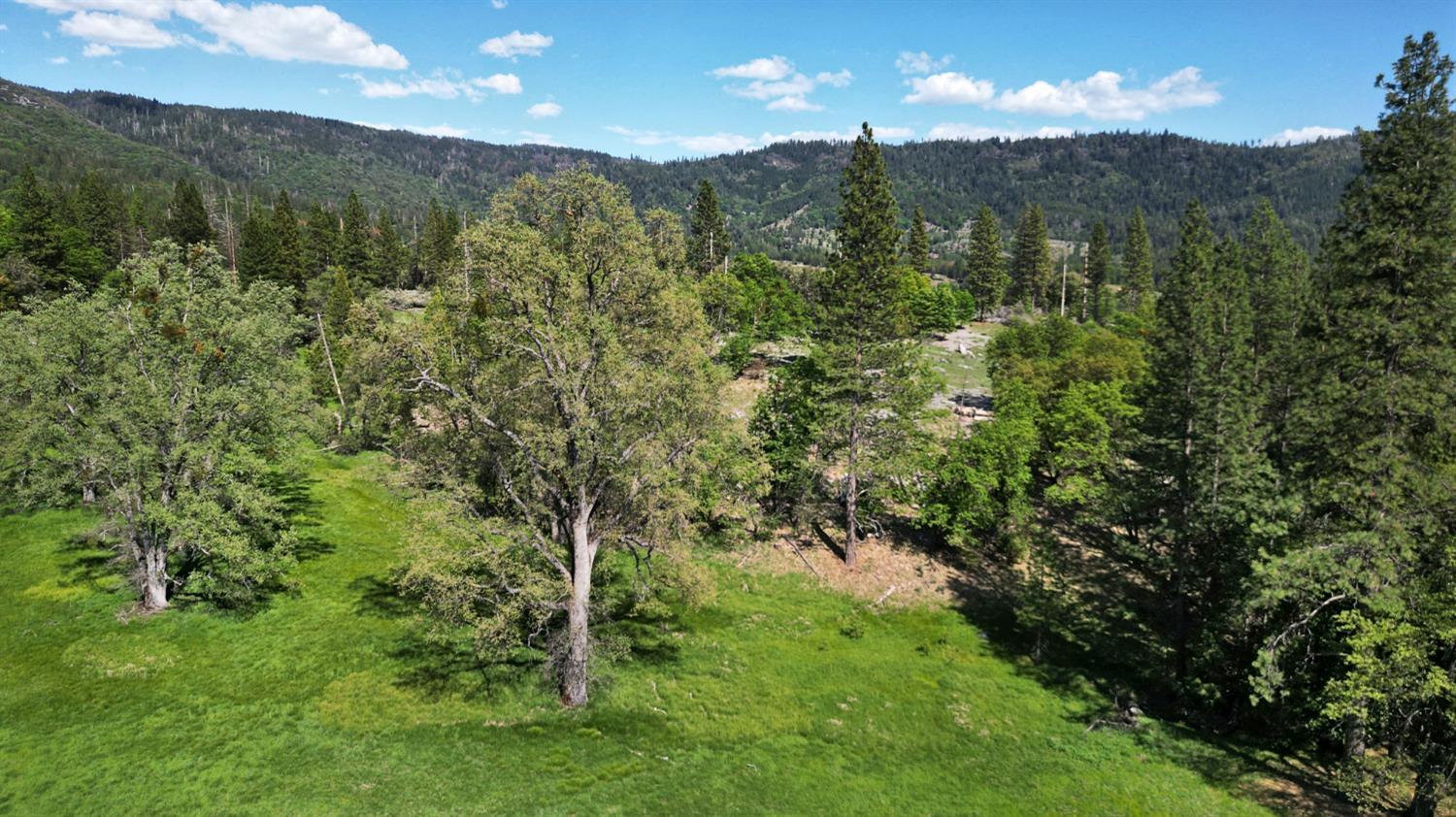 TBD Forest Road Fr2n07, Long Barn, California image 30