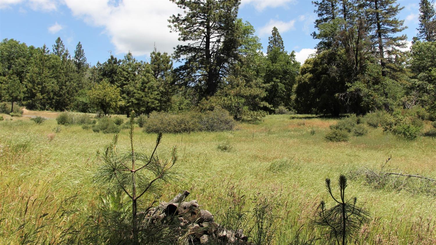 TBD Forest Road Fr2n07, Long Barn, California image 37