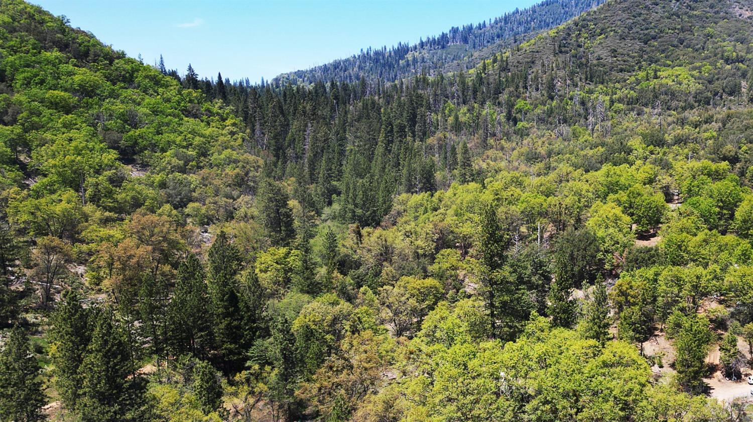 TBD Forest Road Fr2n07, Long Barn, California image 18