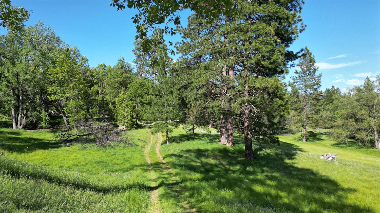 TBD Forest Road Fr2n07, Long Barn, California image 16