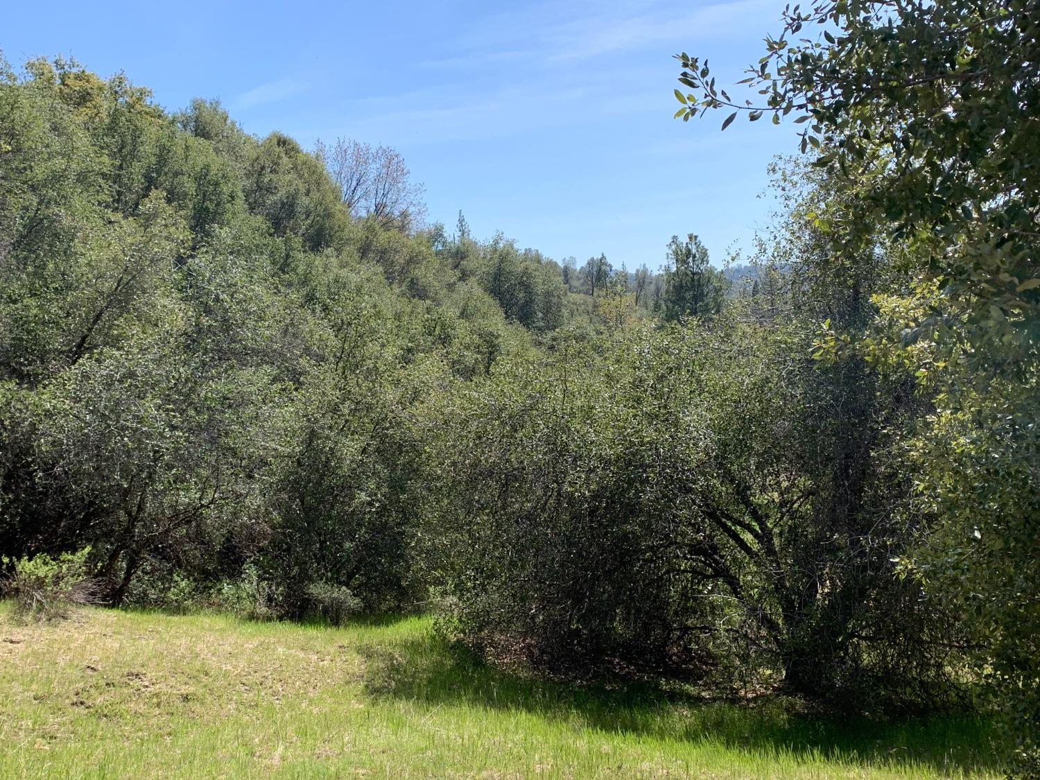 Photo of 5991 Mount Aukum Rd in Somerset, CA