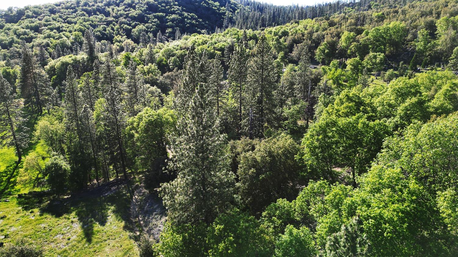 TBD Forest Road Fr2n07, Long Barn, California image 36