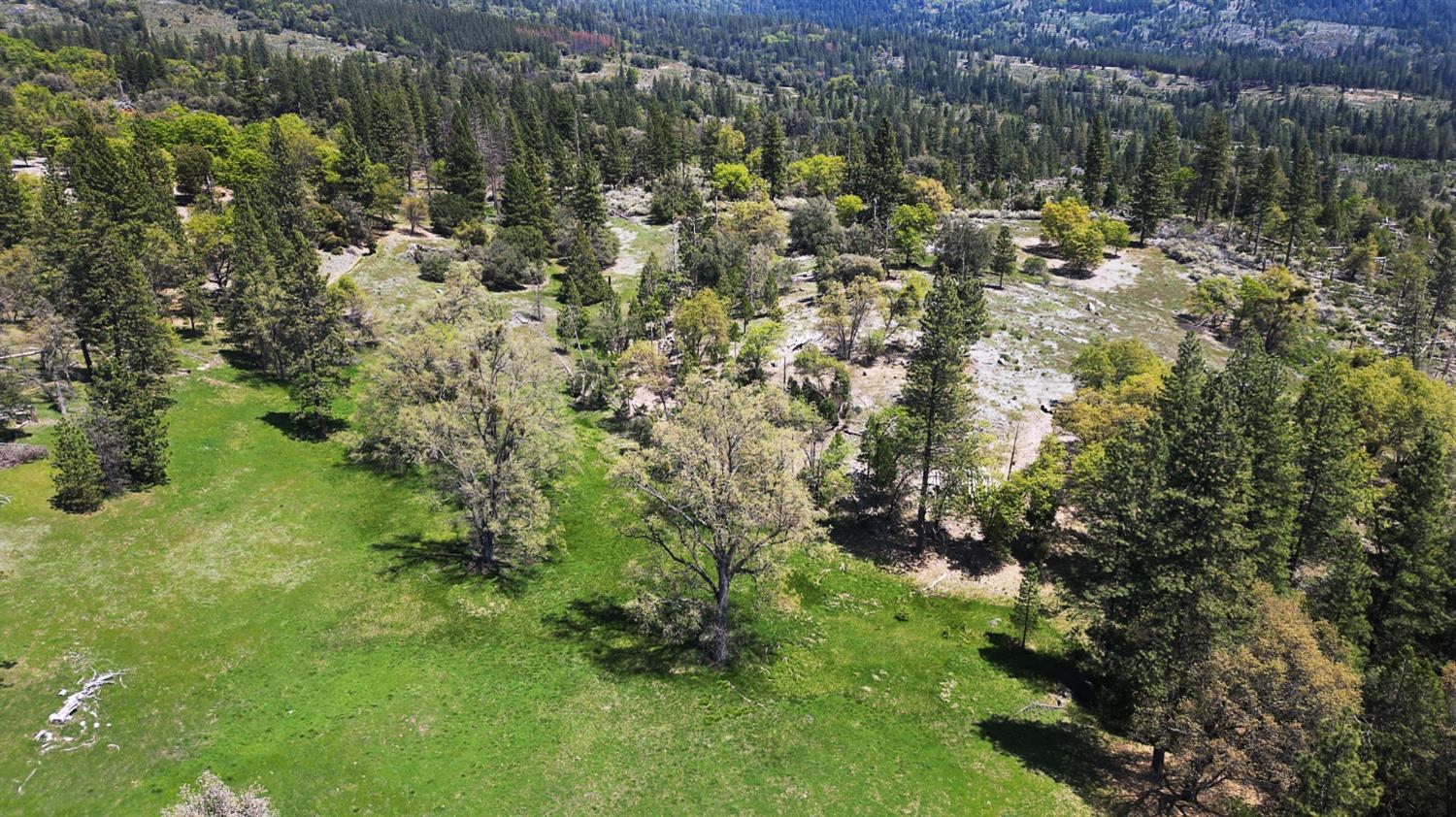 TBD Forest Road Fr2n07, Long Barn, California image 17