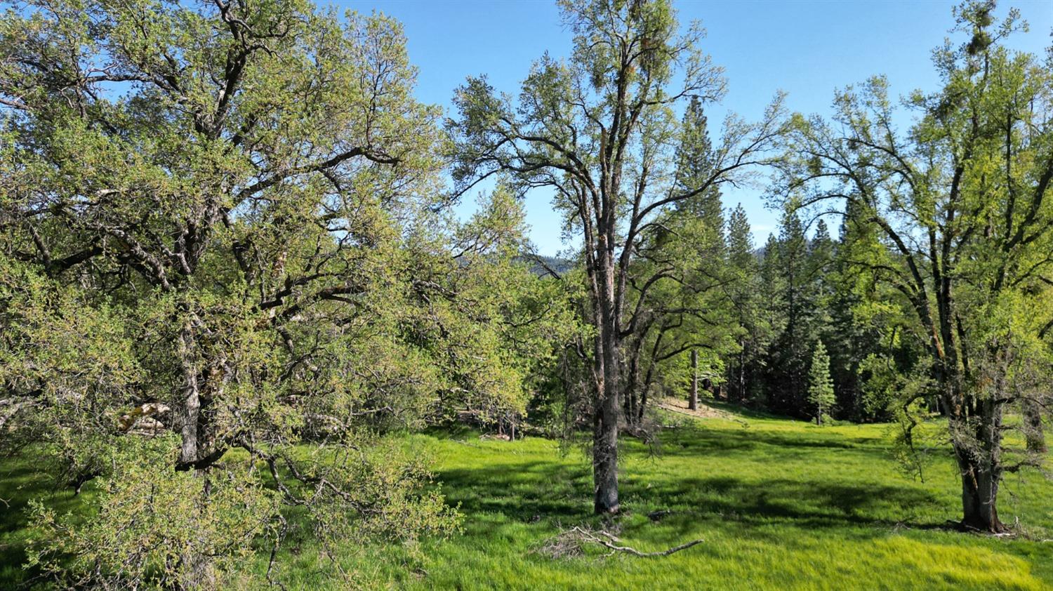 TBD Forest Road Fr2n07, Long Barn, California image 33