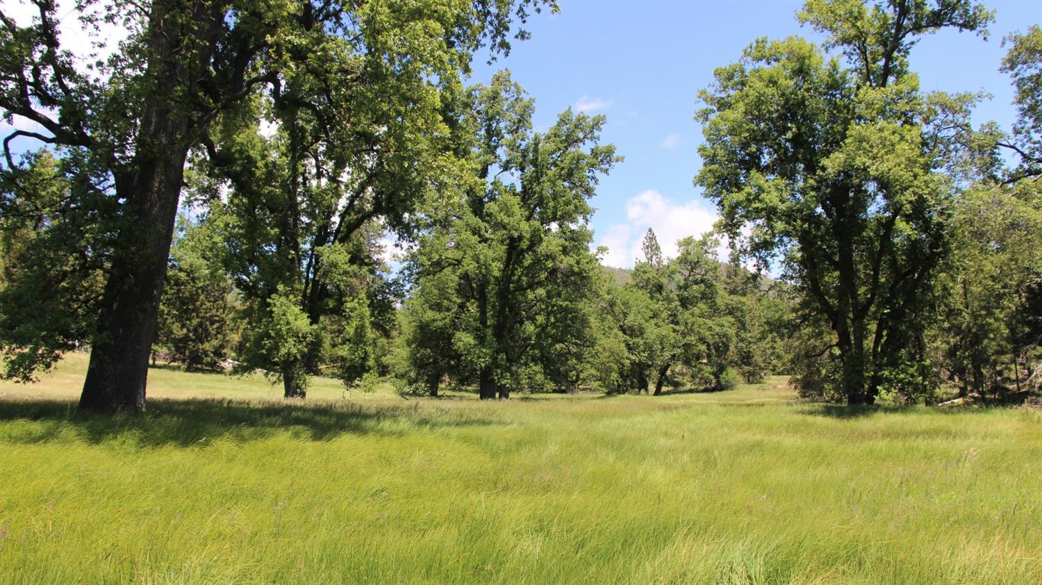 TBD Forest Road Fr2n07, Long Barn, California image 41