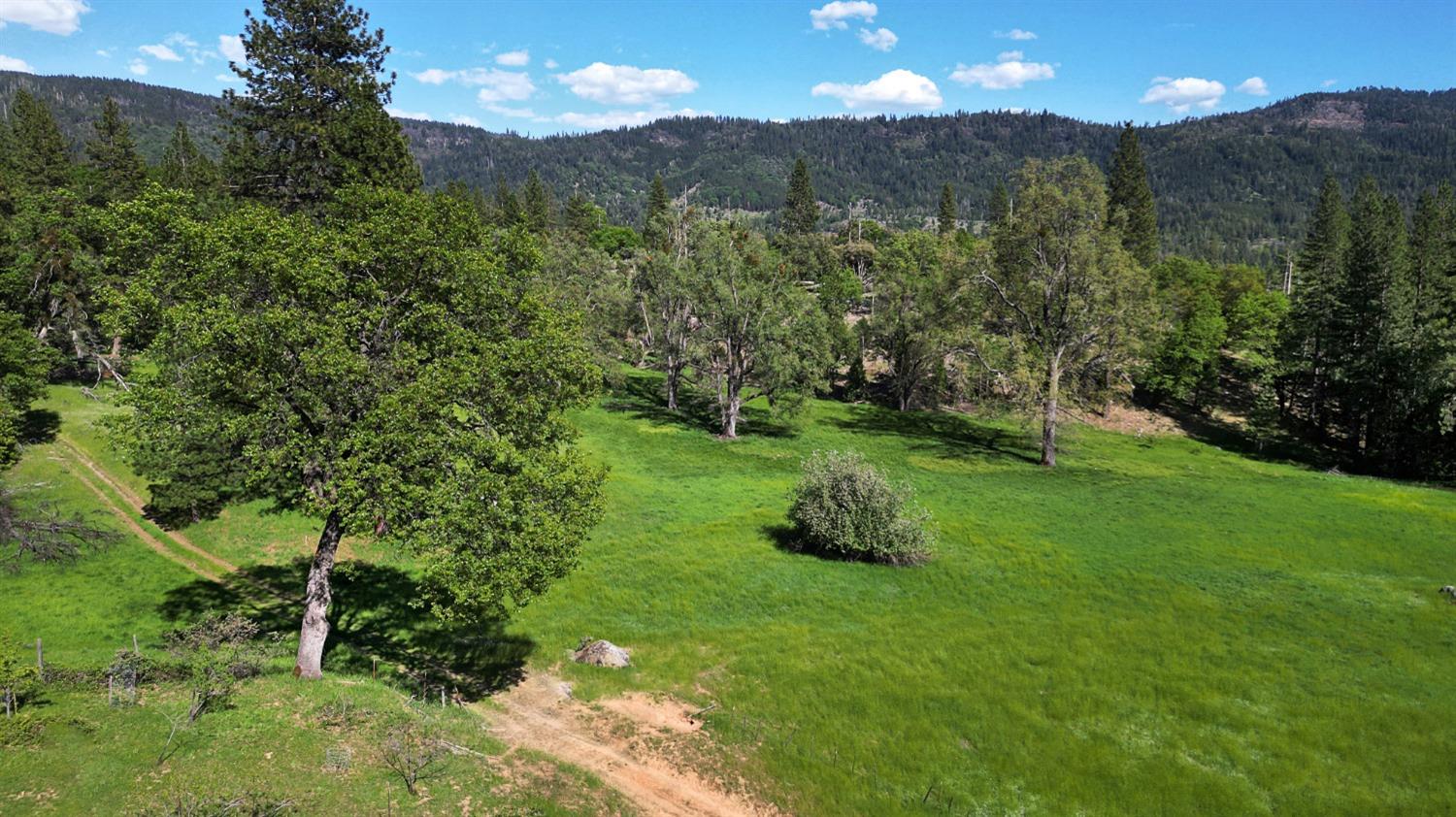 TBD Forest Road Fr2n07, Long Barn, California image 22