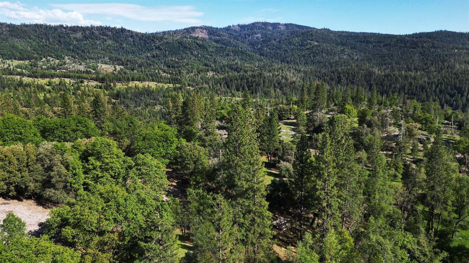 TBD Forest Road Fr2n07, Long Barn, California image 31