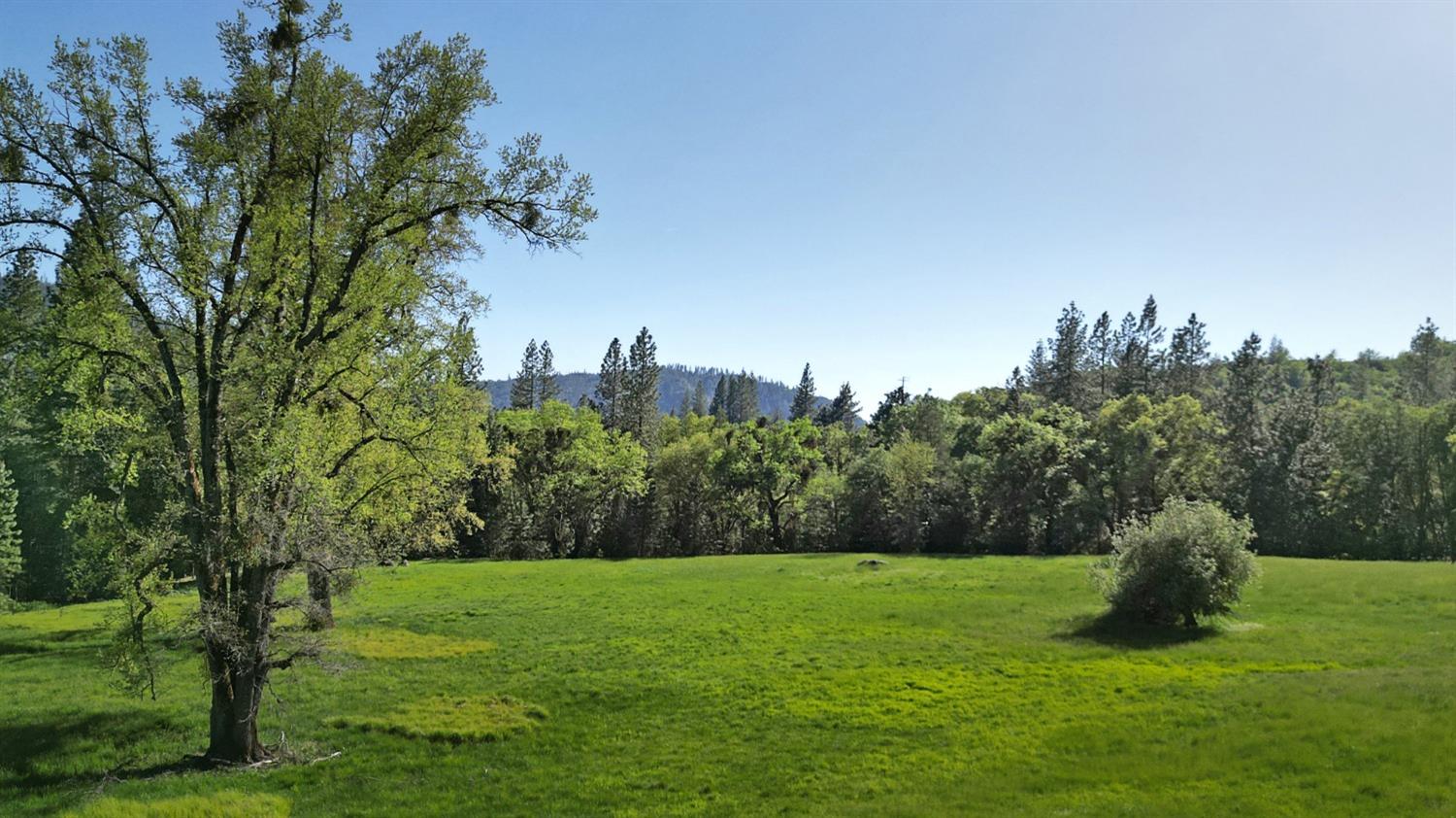 TBD Forest Road Fr2n07, Long Barn, California image 14