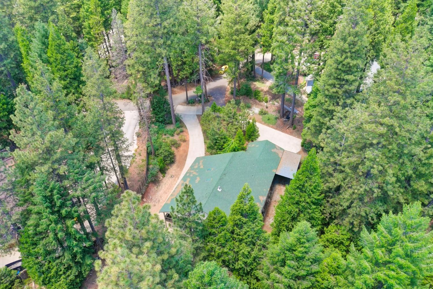 York Court, Pollock Pines, California image 5