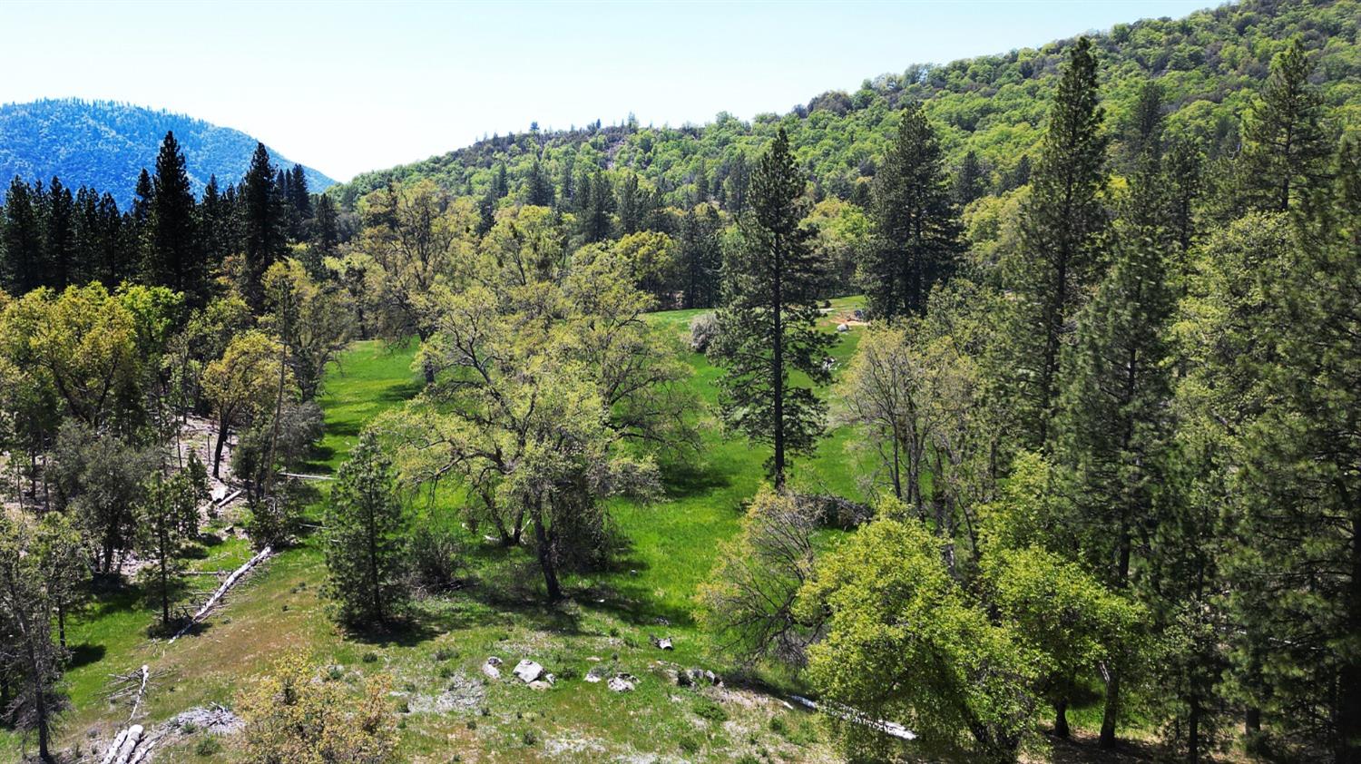 TBD Forest Road Fr2n07, Long Barn, California image 8